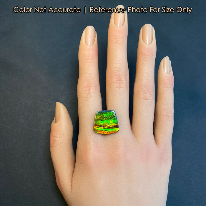 ammolite gem size on a hand