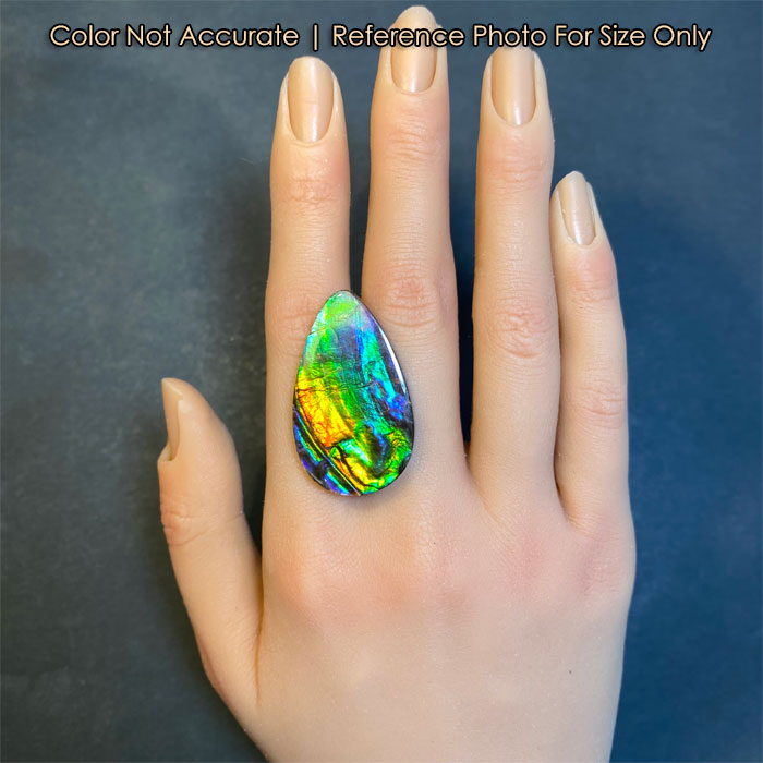 colorful fossilized ammonite ammolite gem on hand