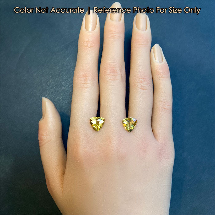 hand size reference of trilliant scapolite pair