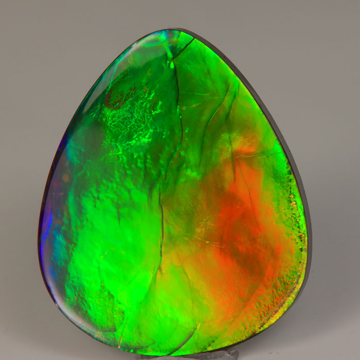 Ammolite 70 Million Year Old Fossil Gem 28.50 Carats