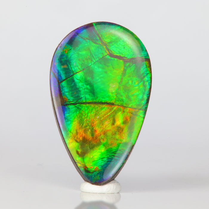 pear shape ammolite colorful gemstone
