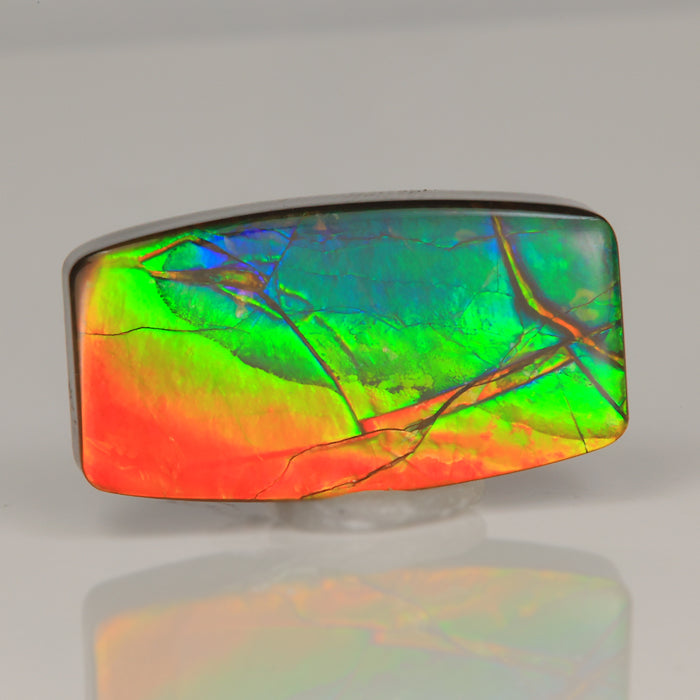 red orange yellow blue green ammolite gemstone