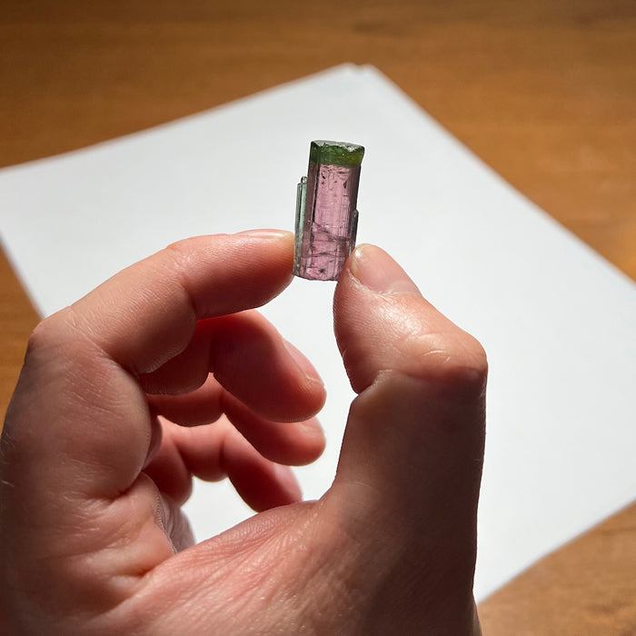 28.87ct Raw Bi-Color Tourmaline Crystal Specimen