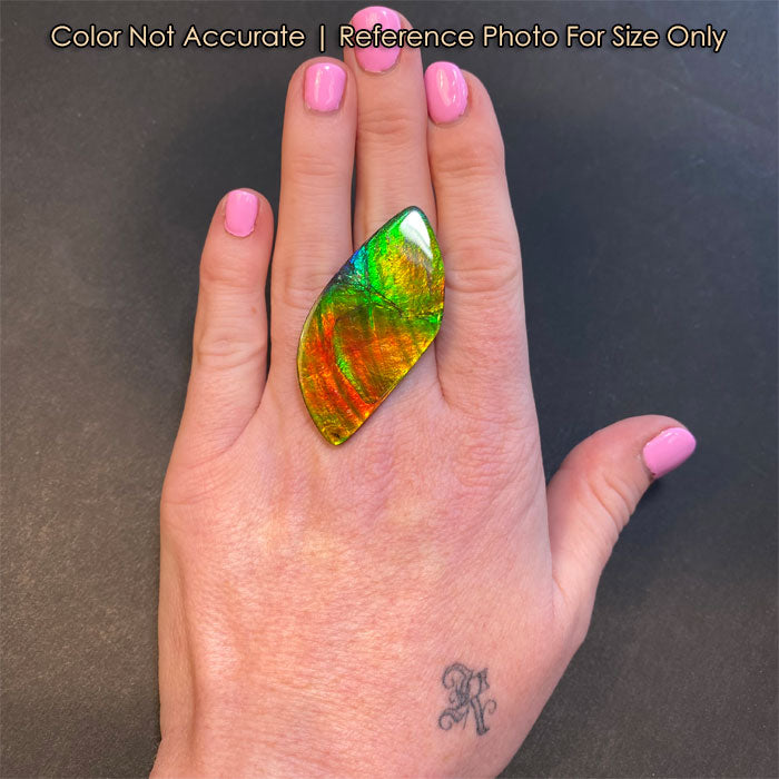freeform cut ammolite gem size