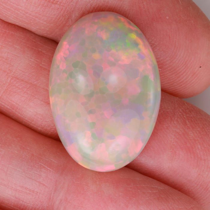 opal in hand