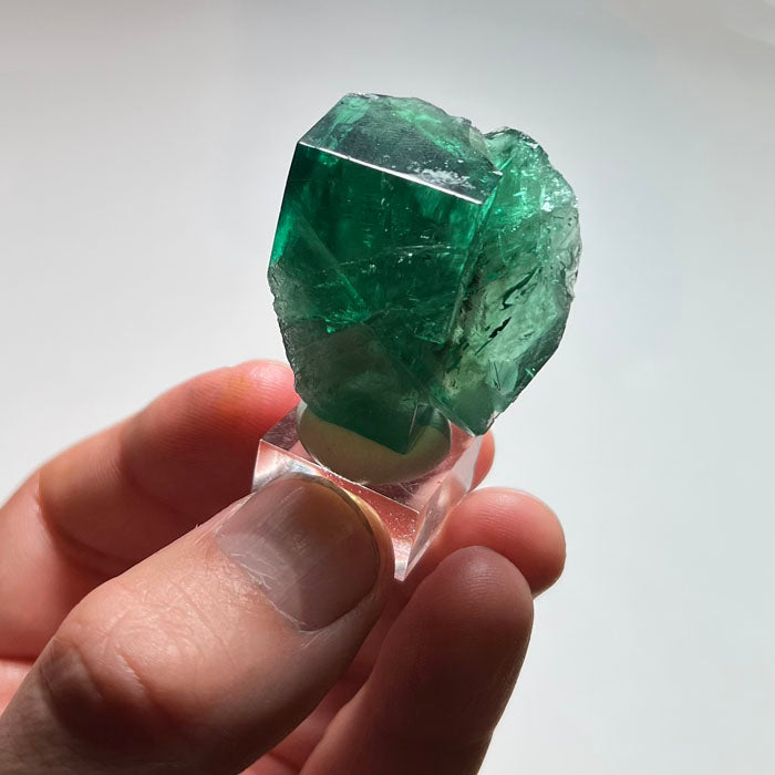 raw fluorite size to a hand