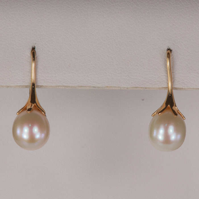 pearl earrings in yellow gold