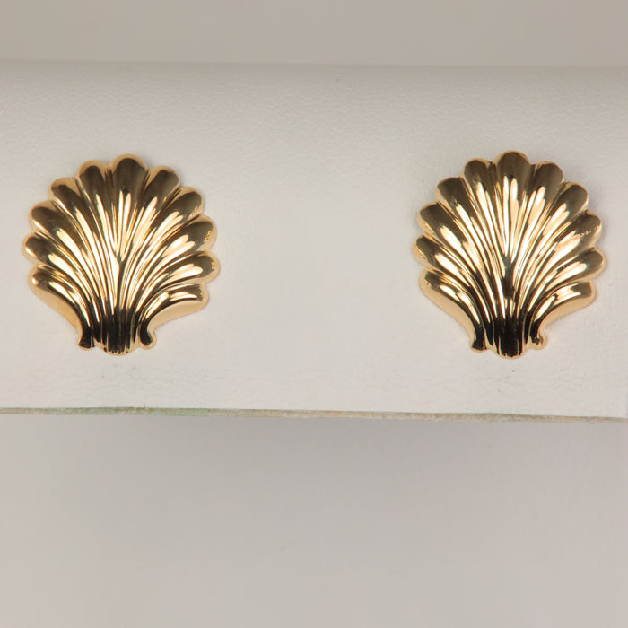shell style stud earrings