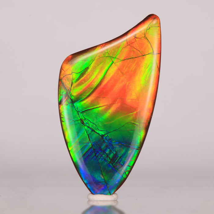 blue green yellow orange ammolite gem fossil