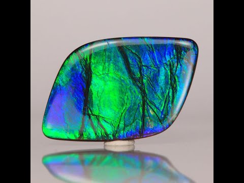 Freeform Cabochon Ammolite 24.25 Carats