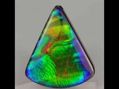 Ammolite 25.25 Carats Collector Quality