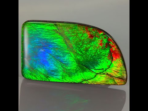 Fossil Ammolite 33.05 Carats