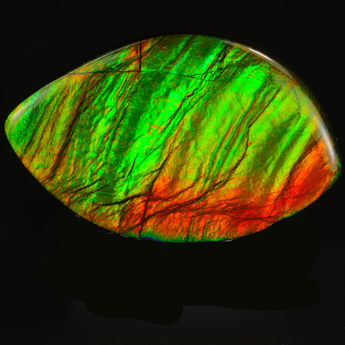 Ammolite Gem