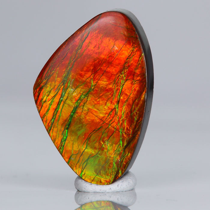 Shield Ammolite 10.65cts