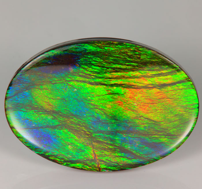 Ammolite Fossil/Gemstone