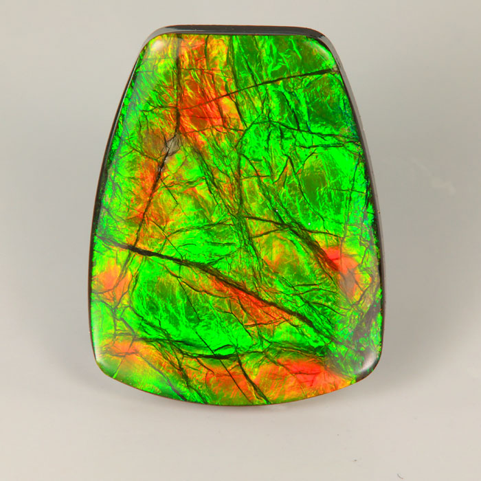 Shield Cabochon Cut Ammolite Fossil Gemstone