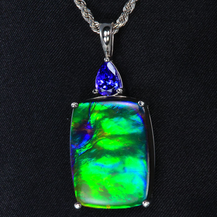 14k White Gold Ammonite and Tanzanite Pendant 19.68 Carats