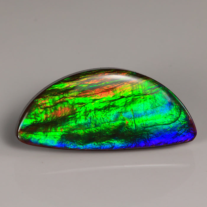 Freeform Cabochon Ammolite Gem/Fossi