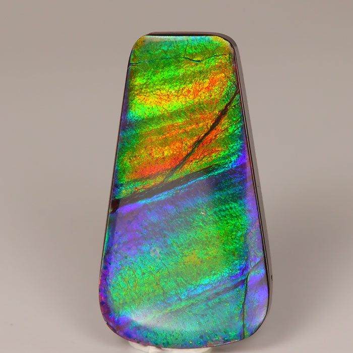 Freeform Cabochon Ammolite Gemstone 19.55 <B>(HIDDEN GEM)</B>