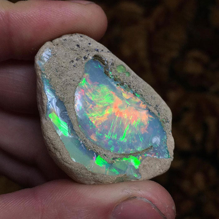 Ethiopian Opal Rough before Cutting Specimen