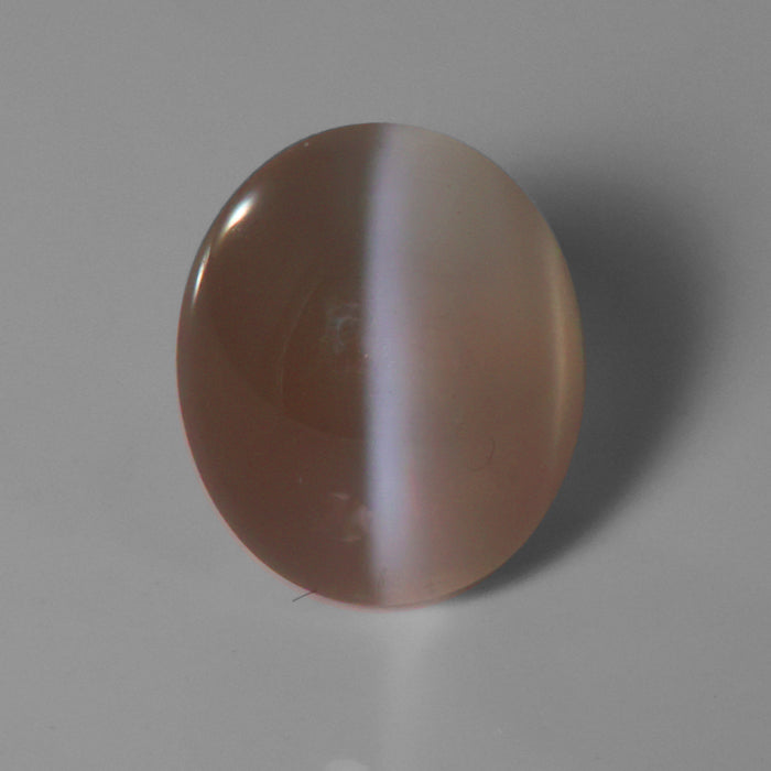 White Catseye Silliminite Round Cabochon 10.54 Carats