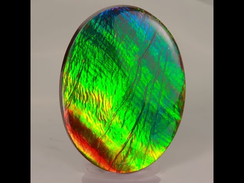 Multicolor blue purple red green ammolite gemstone