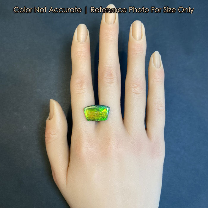 Freeform Cabochon Cut Canadian Ammolite 11.15 Carats