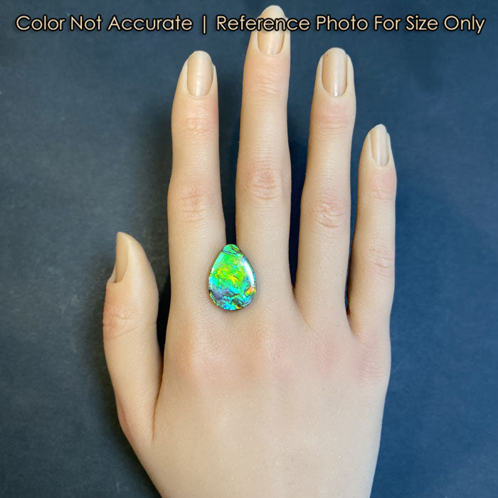 ammolite rare gem on hand