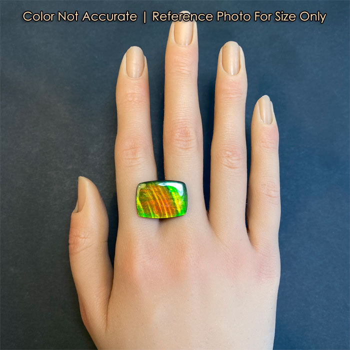 colorful fossilized ammolite gem on hand