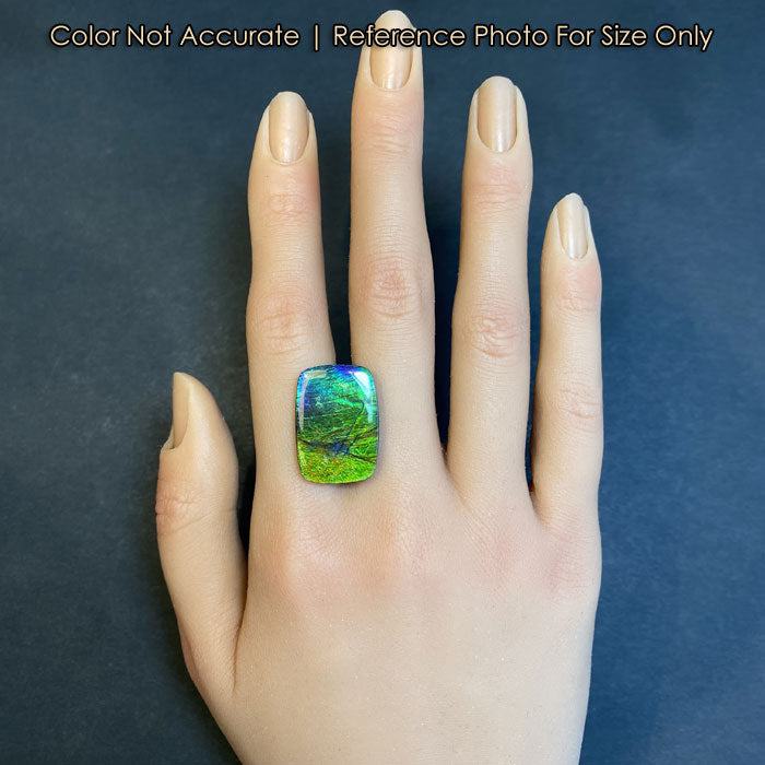 green blue ammolite gem on hand