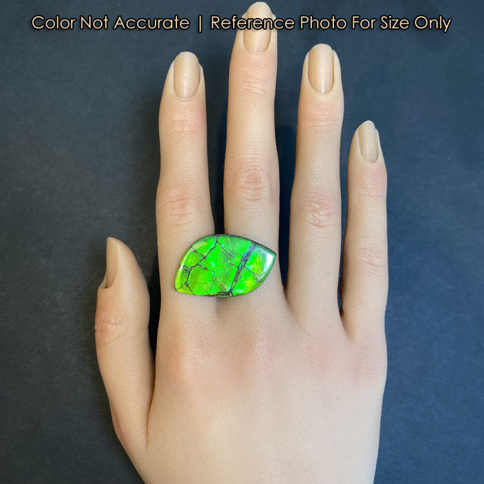 green color rare ammolite gemstone size