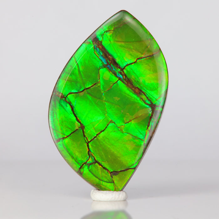 green ammolite gemstone 