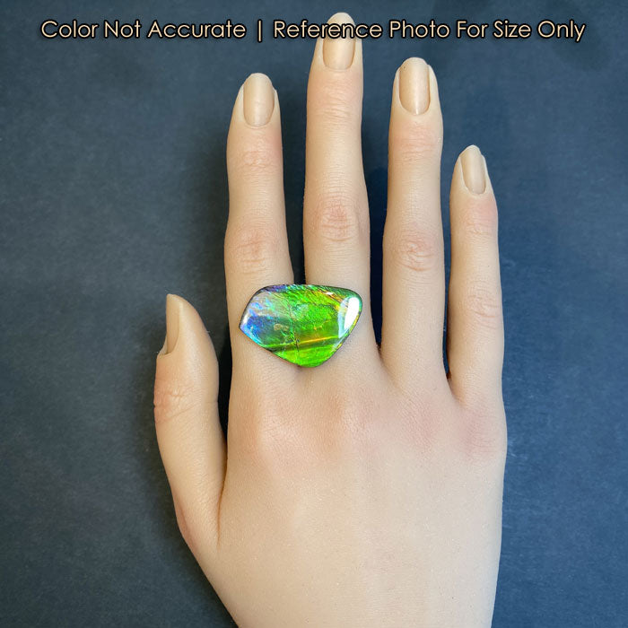 multicolor ammolite fossil gemstone size on hand