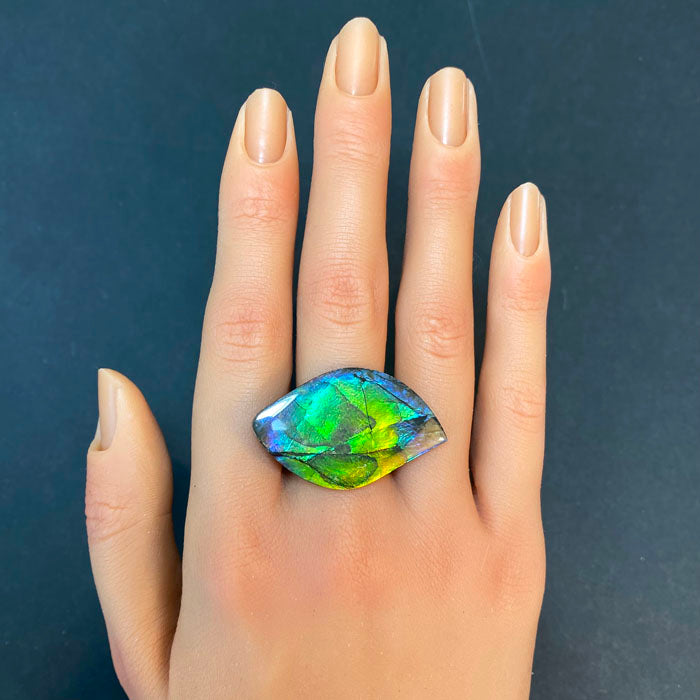 violet blue green orange yellow ammolite fossil gem