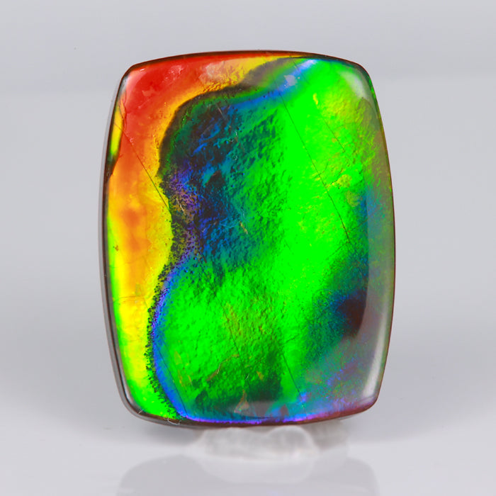 rainbow color ammolite rare gemstone from canada