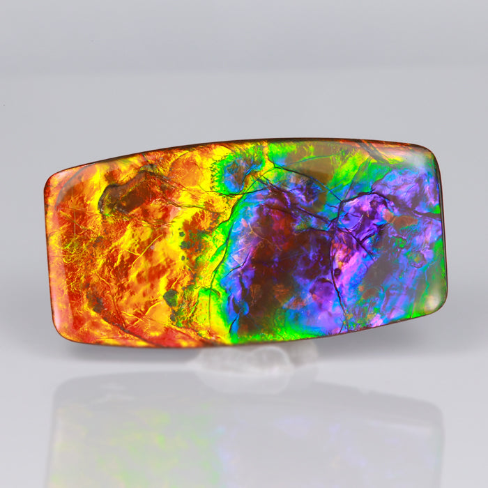 multi color ammolite gem blue purple green yellow red orange beautiful rare