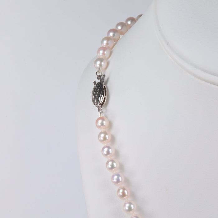 akoya pearl and gold clasp necklace