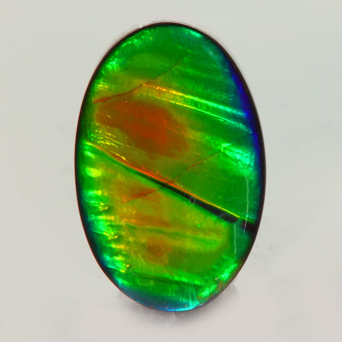 Ammolite of the Finest Quality AAA+ 13.45 Carats