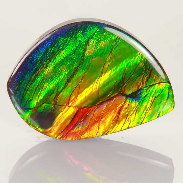 Freeform Cabachon Ammolite 24.30 Carats