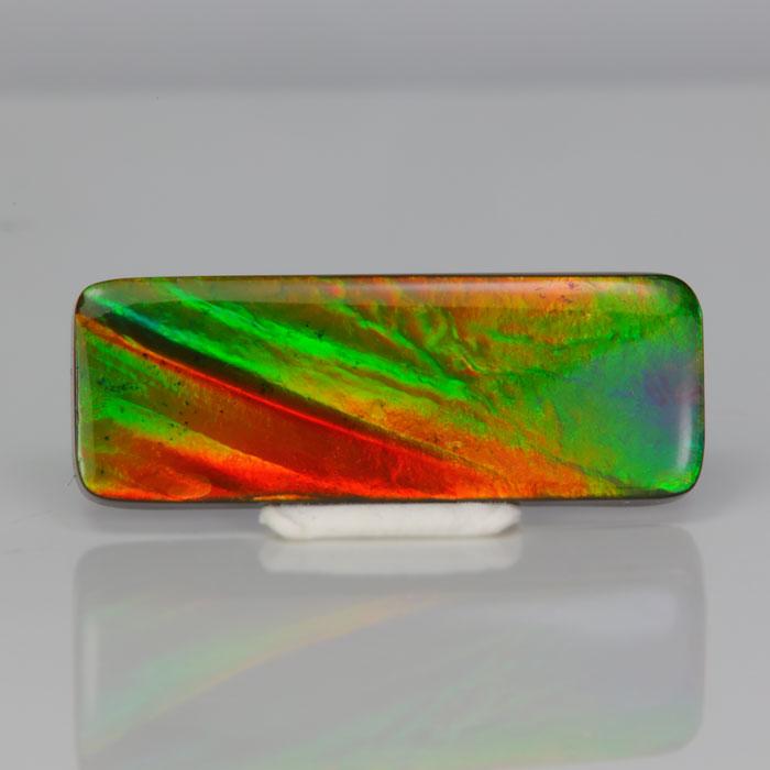 fossilized ammolite with red green orange blue