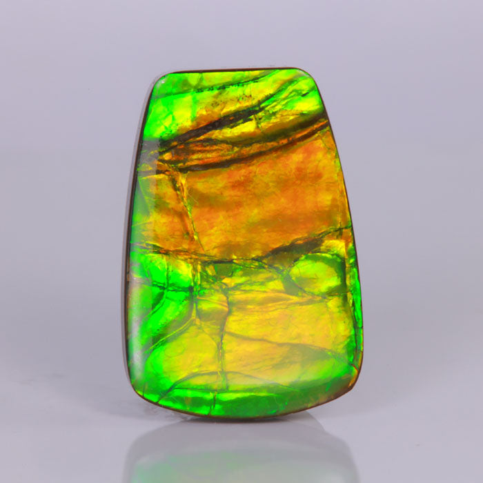 ammolite gemstone trapezoid