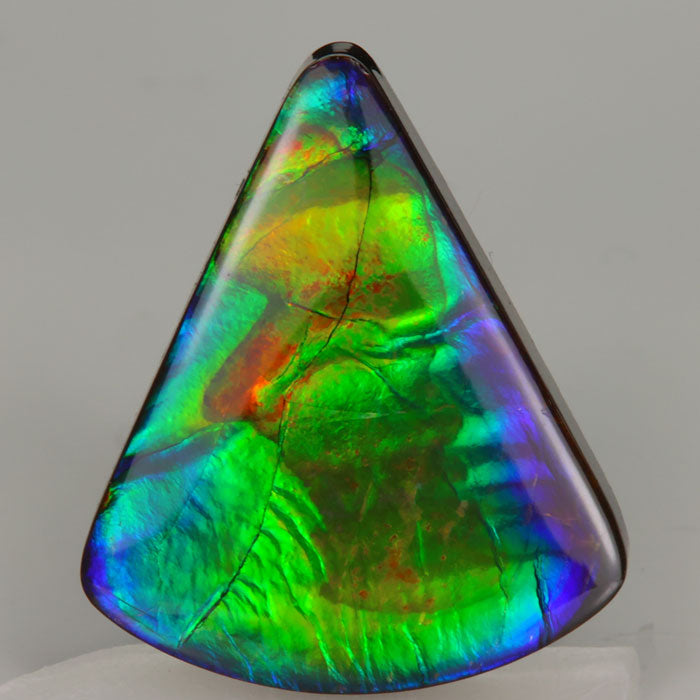 Ammolite 25.25 Carats Collector Quality