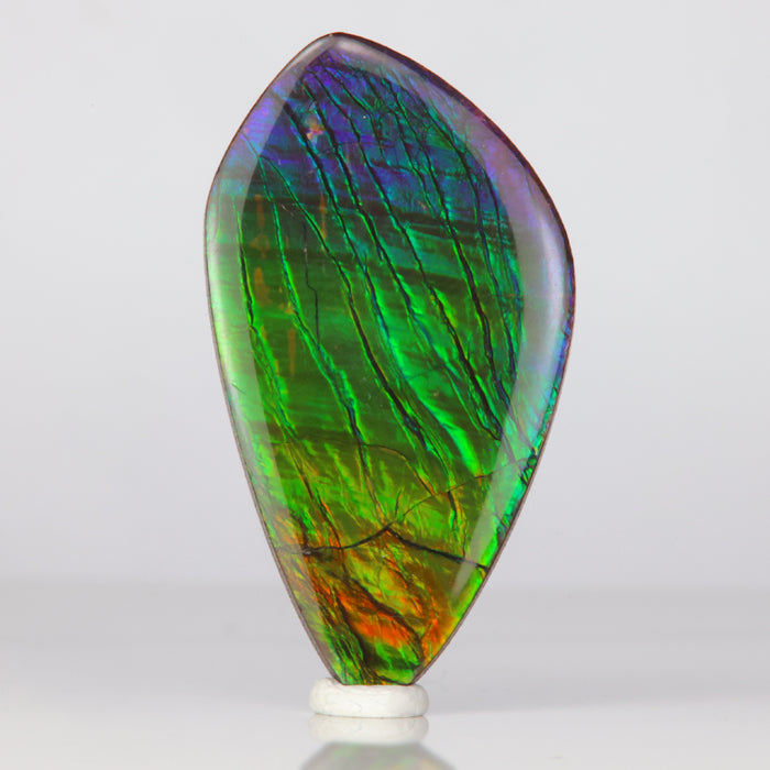 blue green orange ammolite gem