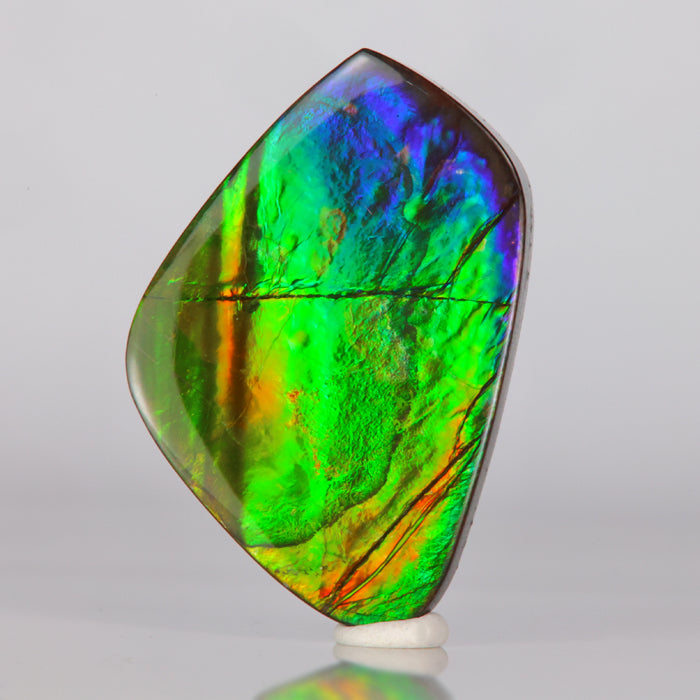 gemstone fossil rare colorful ammolite ammonite violet blue green orange red