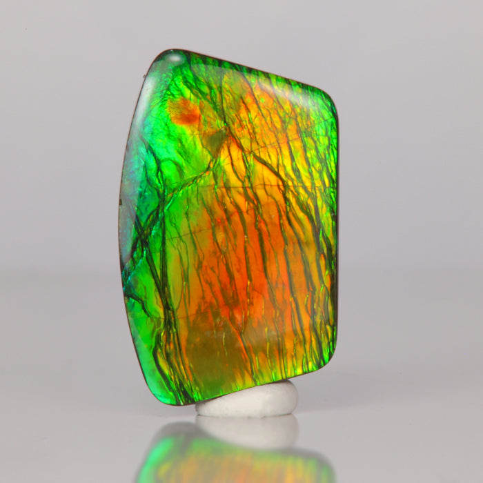 green red orange yellow blue ammolite fossil gem