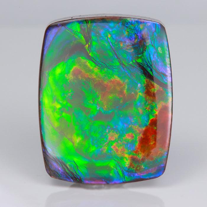 multicolor ammolite ammonite fossilized gemstone