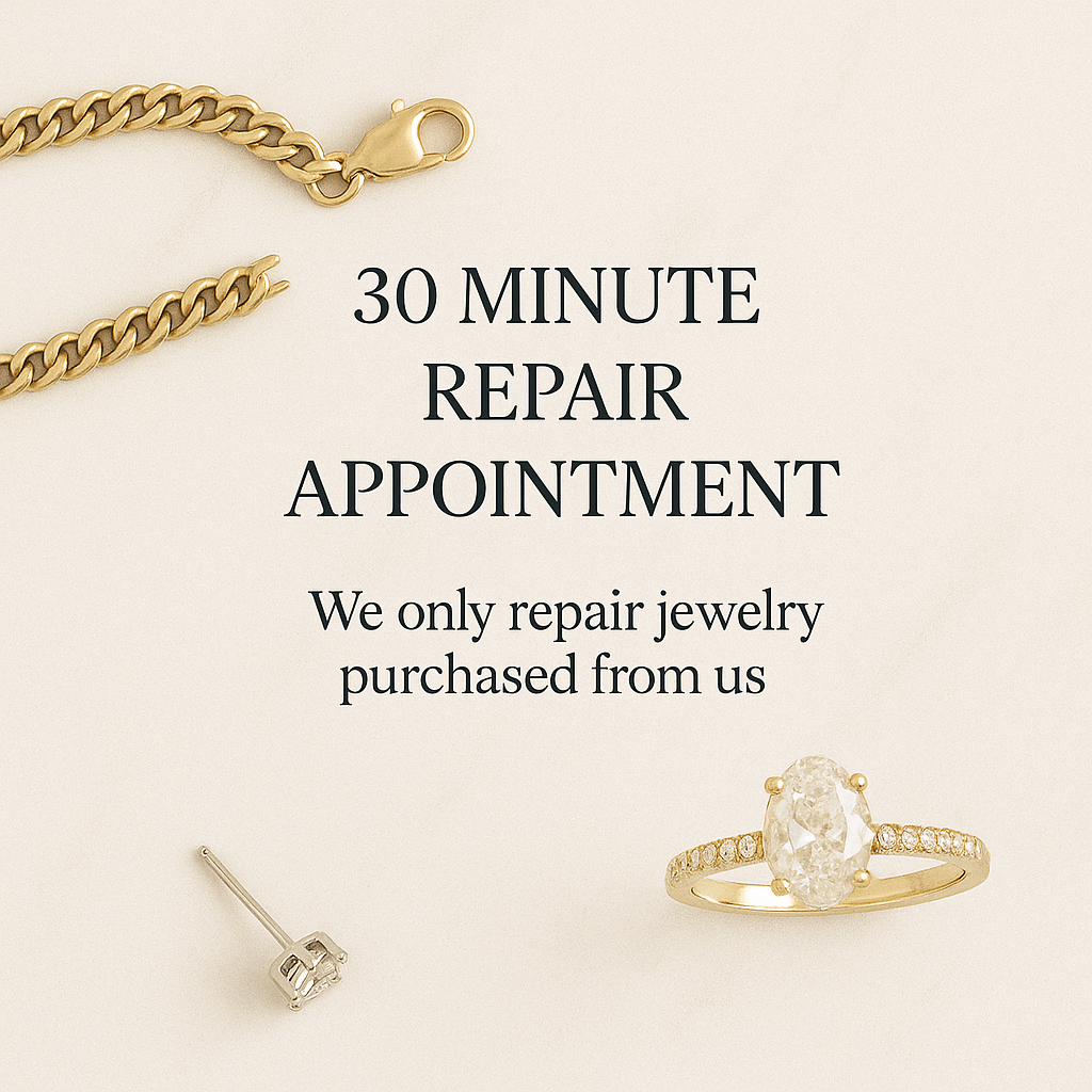 30 Minute Repair Appointment