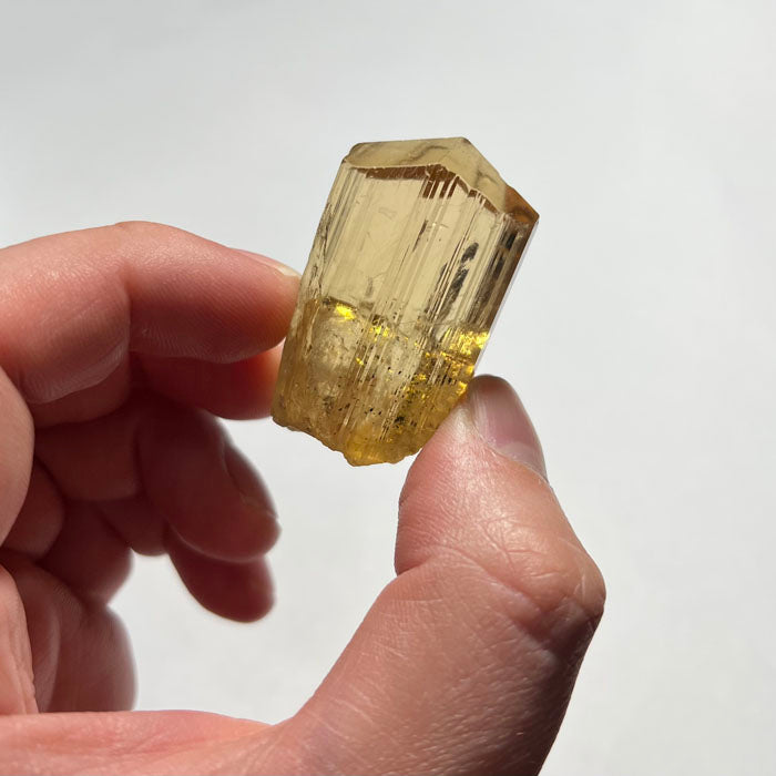 yellow scapolite crystal specimen size 