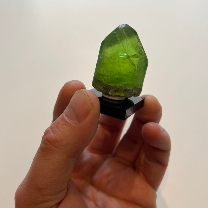 natural green peridot crystal in hand