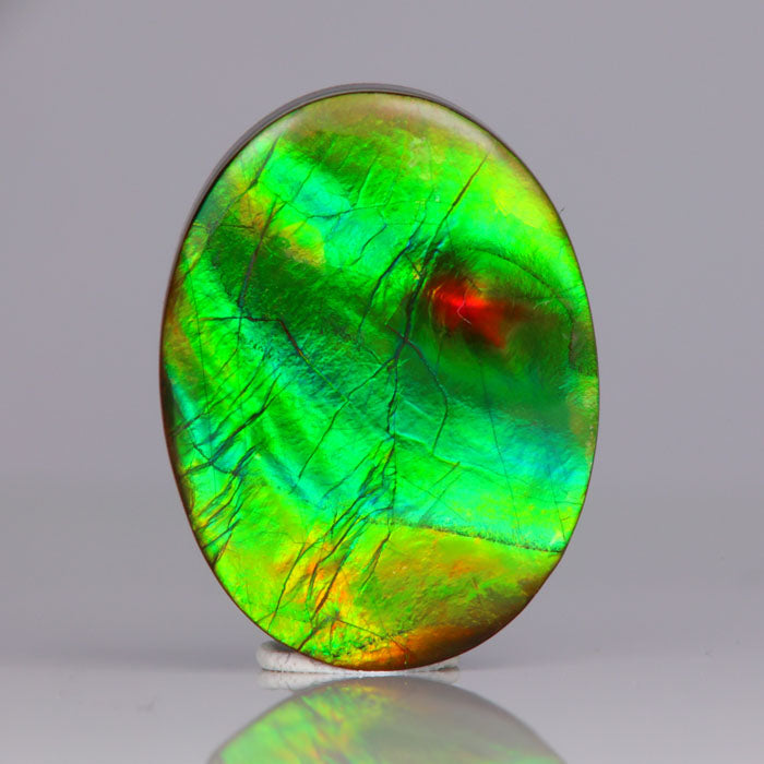 oval cabochon cut ammolitte